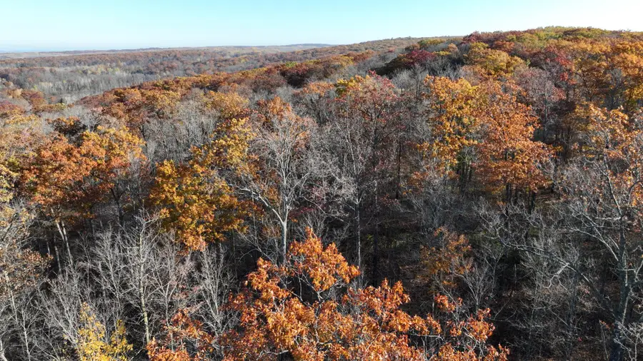 Lot 5 Breakneck Road, Birchwood, WI 54817 - Image #2