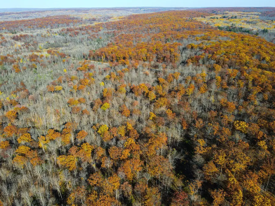 Lot 6 Breakneck Road, Birchwood, WI 54817 - Image #2