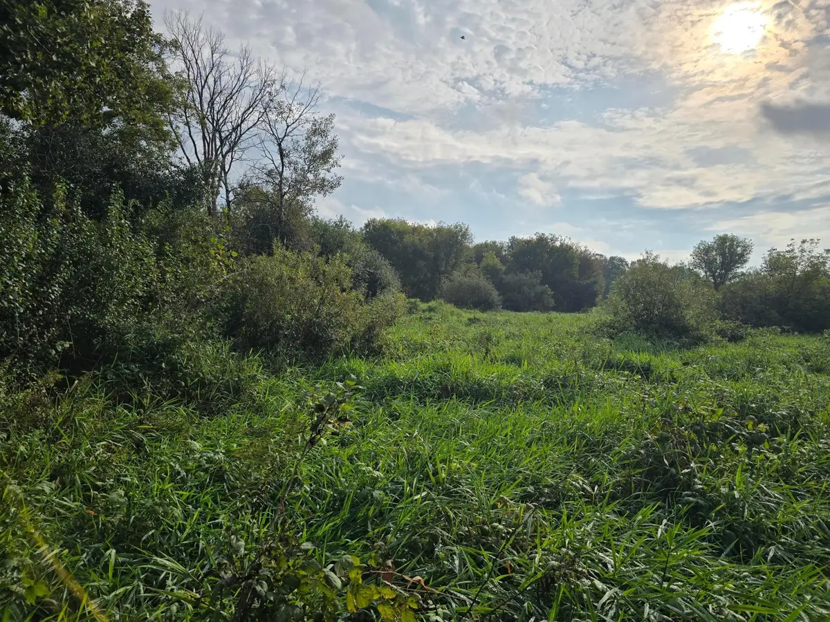 TBD Tbd, Ham Lake, MN 55304 - #1