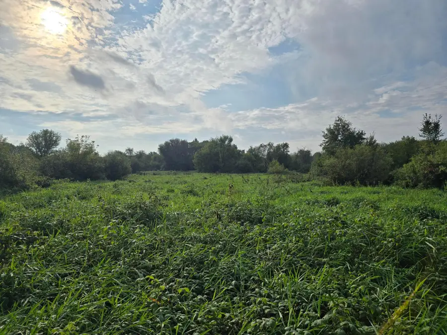 TBD Tbd, Ham Lake, MN 55304 - #2