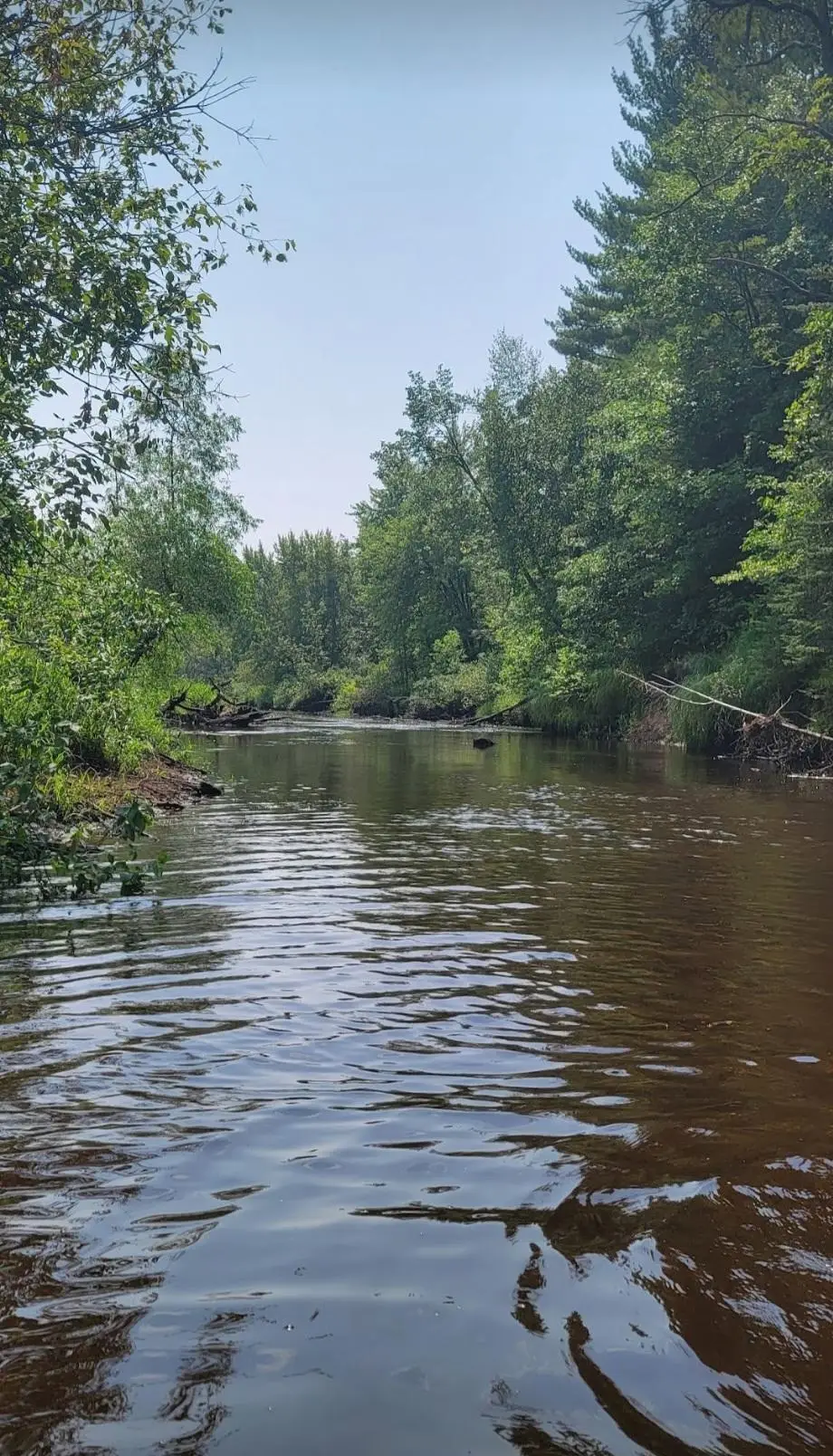 84335 Jack Pine Lane, Windemere Township, MN 55783 - Image #1