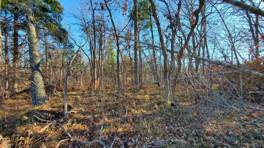 tbd Division Street, Bemidji, MN 56601 - Image #3