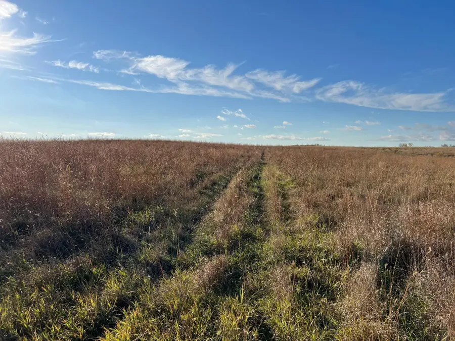 440 90th Avenue Ne, Benson, MN 56215 - Image #2