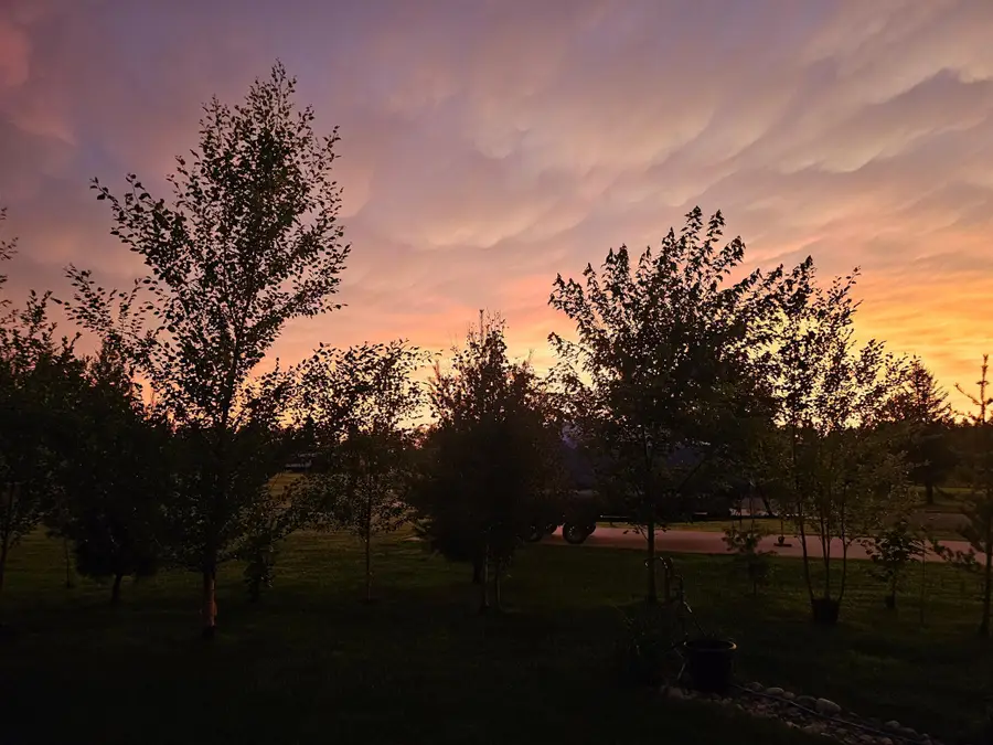 Lot 131 Hurtig Road, Pequot Lakes, MN 56472 - Image #2