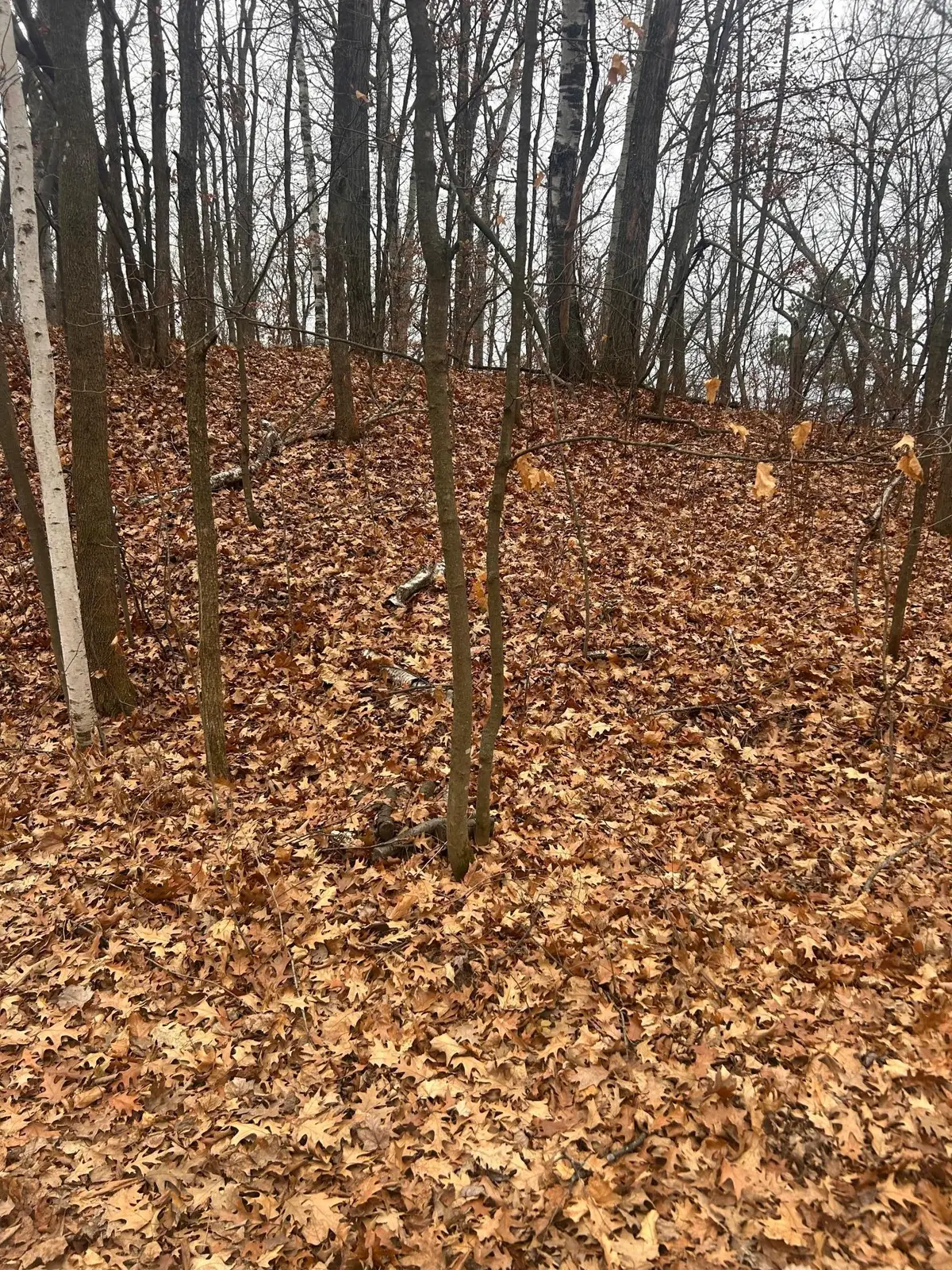 TBD Golf Course Cir, Cushing Township, MN 56443 - Image #1