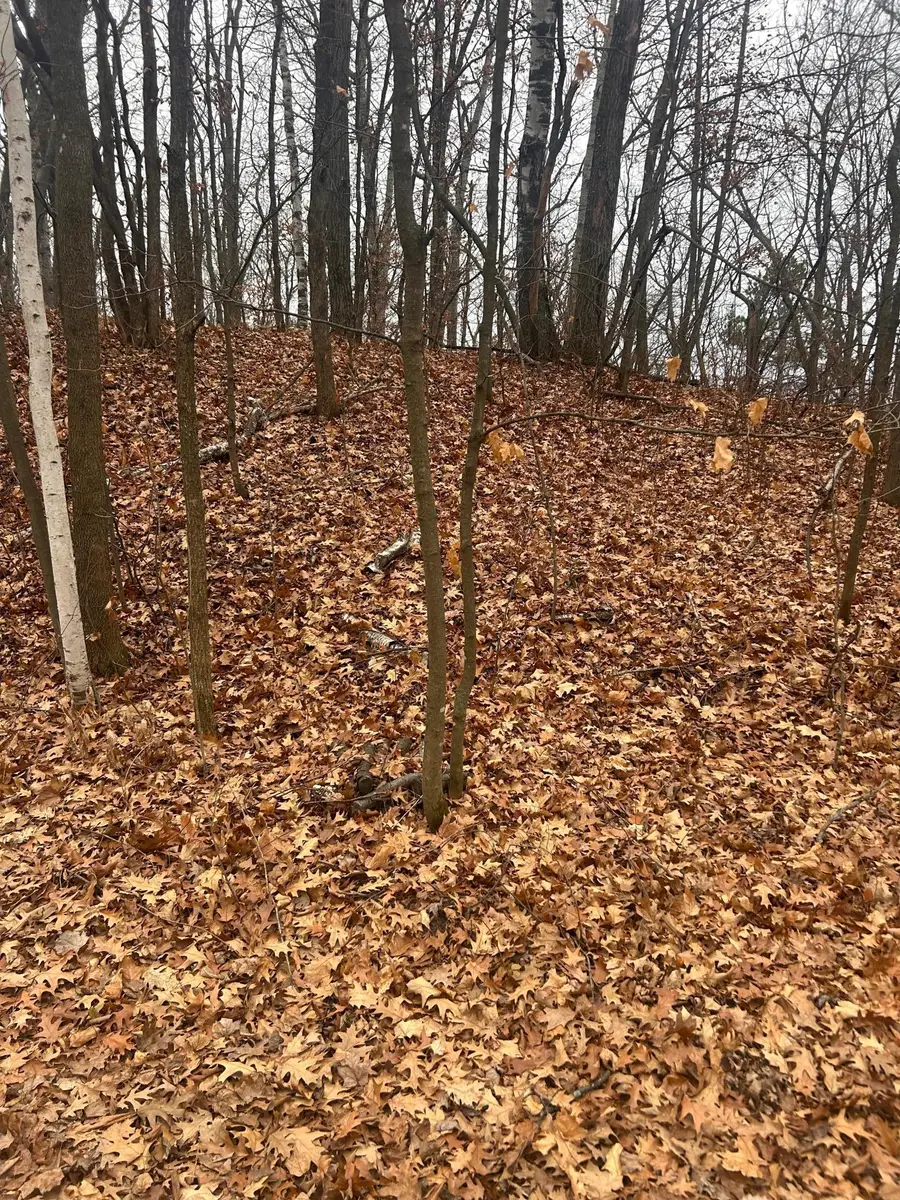 TBD Golf Course Cir, Cushing Township, MN 56443 - Image #2