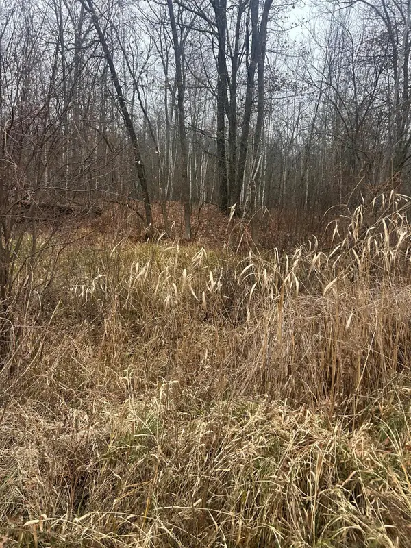 TBDxx Lake Camile, Cushing Twp, MN 56475