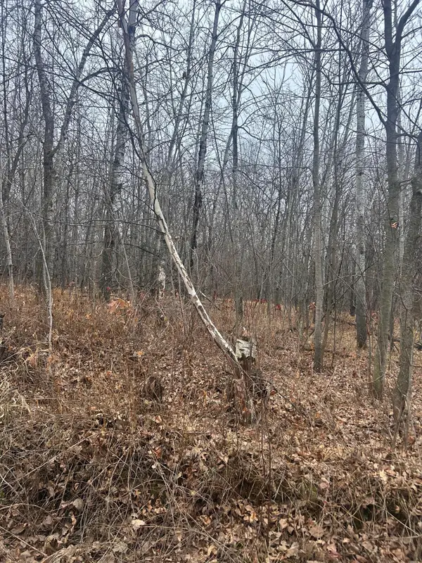 TBDx Golf Course Dr, Cushing Twp, MN 56443