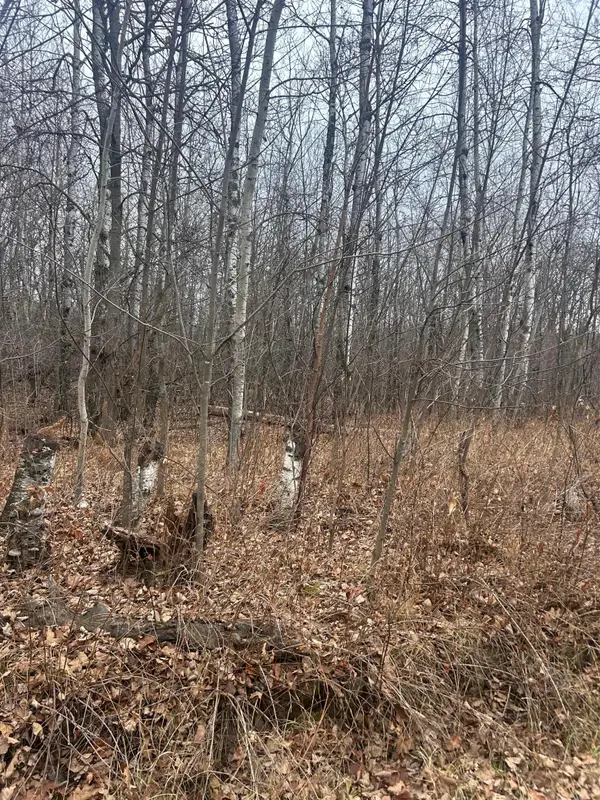 TBDxxxx Golf Course Dr, Cushing Twp, MN 56443