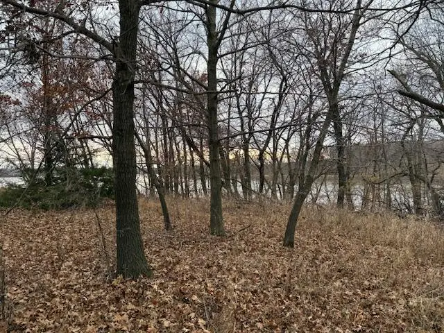 21001 Vergus Avenue, Spring Lake Township, MN 55372 - Image #3