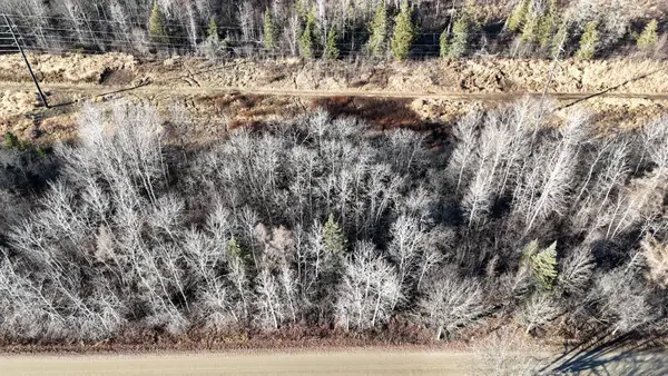 Parcel C Parameter Road, Deer River, MN 56636