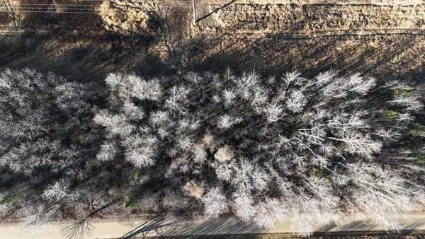 Parcel B Parameter Road, Deer River, MN 56636