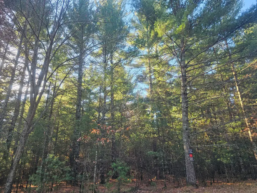 xxx Harmon Avenue E, Grantsburg, WI 54840 - Image #2