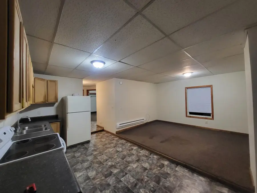 133 Mill Street, Minnesota City, MN 55959 - Image #3