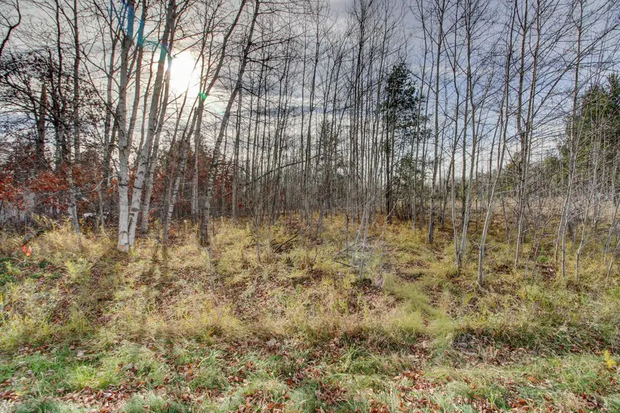 7557 Fallen Leaf Circle, Breezy Point, MN 56472 - Image #3