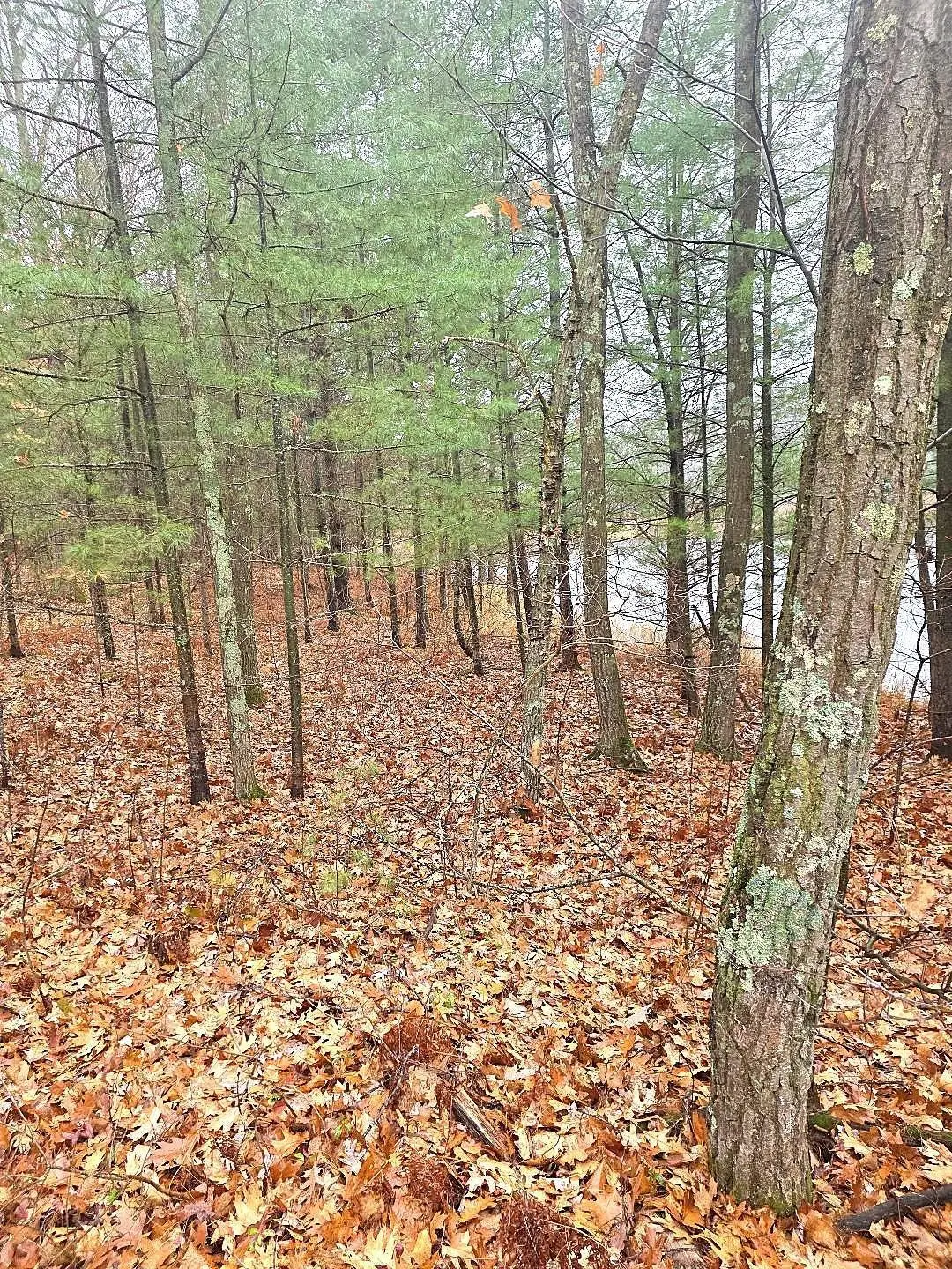 2391 40th Street, Comstock, WI 54829 - Image #1