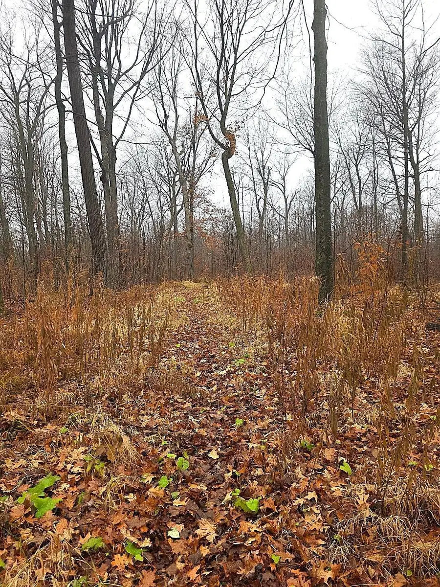 2391 40th Street, Comstock, WI 54829 - Image #2