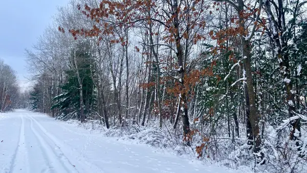 TBD Spruce Circle, Roosevelt Twp, MN 56450