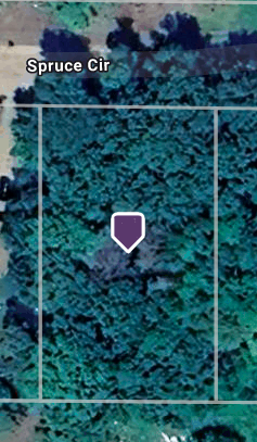 TBD Spruce Circle, Roosevelt Twp, MN 56450