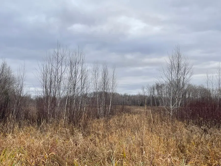 TBD Olson Road, Hinckley, MN 55037 - Image #2