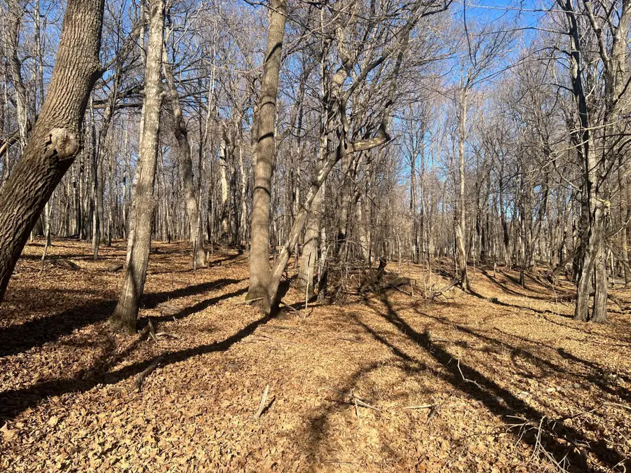 TBD Moe Hall Road Nw, Moe Township, MN 56332 - Image #2