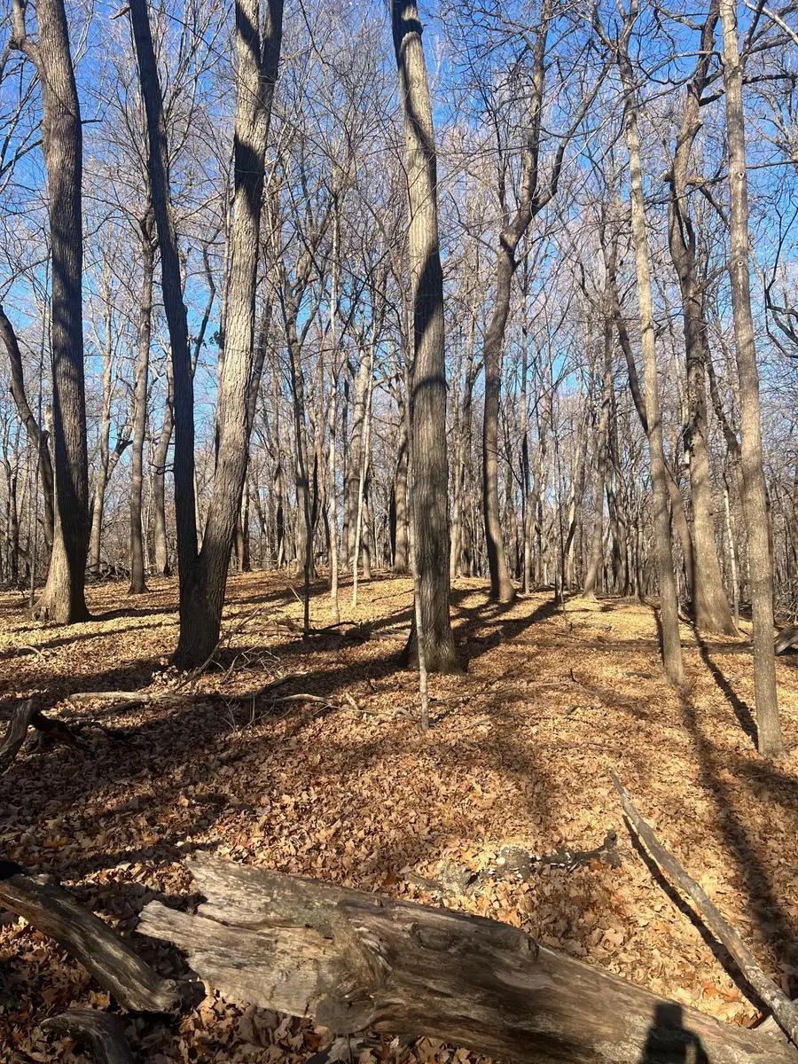 TBD Moe Hall Road Nw, Moe Township, MN 56332 - Image #3