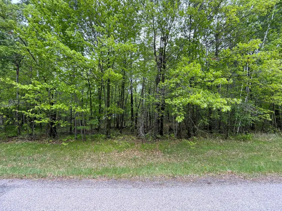 10583 E Shore Drive, Merrifield, MN 56465 - Image #3