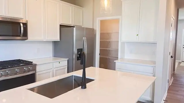 15041 Athenry Bay, Rosemount, MN 55068 - Image #3