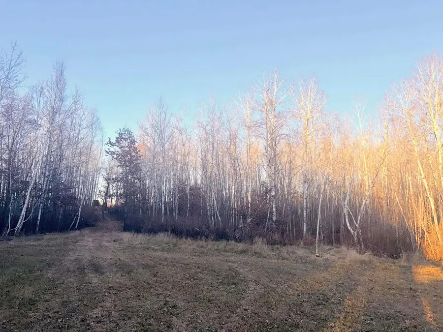 1287 Trinity Pines Lane Nw, Powers Township, MN 56435 - Image #3