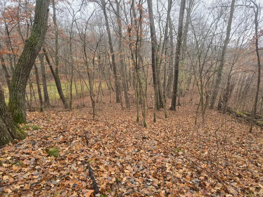 xxxx 244th St N, Scandia, MN 55073 - Image #2