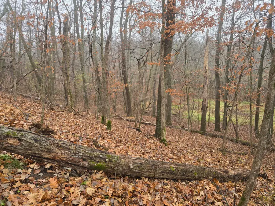 xxxx 244th St N, Scandia, MN 55073 - Image #3