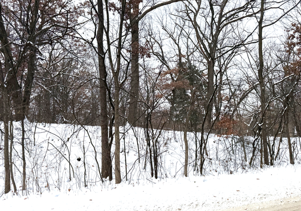 377 Totem Road, Saint Paul, MN 55119