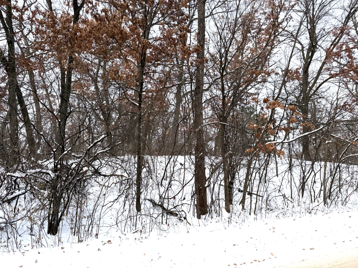 371 Totem Road, Saint Paul, MN 55119 - Image #1