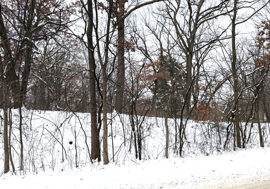 371 Totem Road, Saint Paul, MN 55119 - Image #2