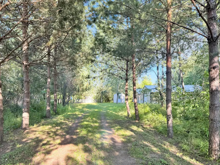 40884 Nature Avenue, Fleming, MN 56431 - #2