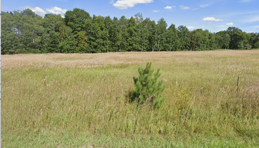 252xx Durant Street Ne, Isanti, MN 55040 - Image #3