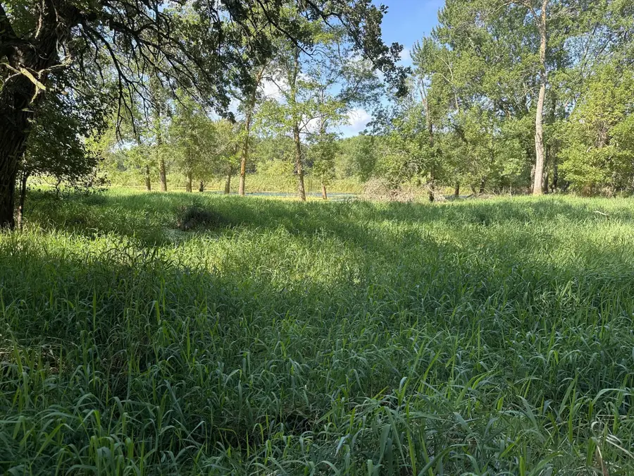 XXX 50th Street Se, Franklin Township, MN 55313 - Image #3