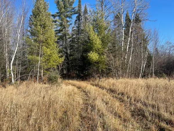 14730 Cr-25, Wawina Twp, MN 55736