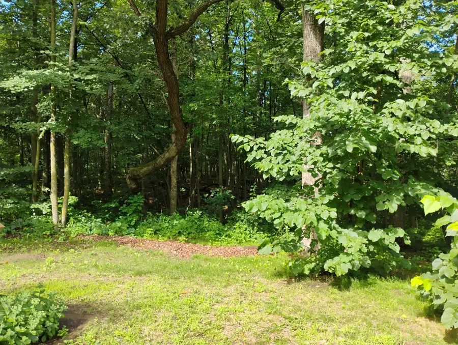 44888 County Highway 54, Otto, MN 56571 - Image #3