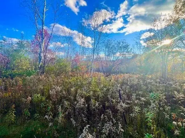 Lot 2 County Rd Q, Clear Lake, WI 54005 - Image #3