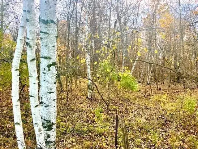 Lot 4 320th Street, Clear Lake, WI 54005 - Image #2