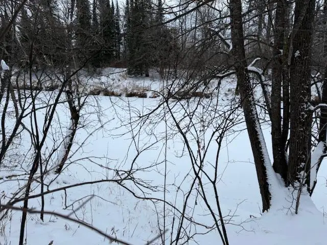 TBD Arkola Road, Cotton, MN 55724 - Image #2