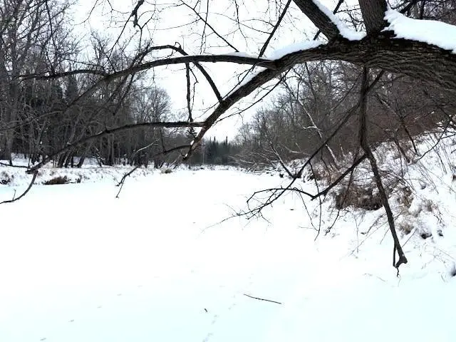 TBD Arkola Road, Cotton, MN 55724 - Image #3
