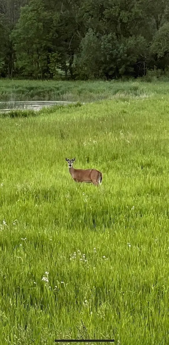 XXXX 280th Street E, Webster, MN 55088 - Image #1