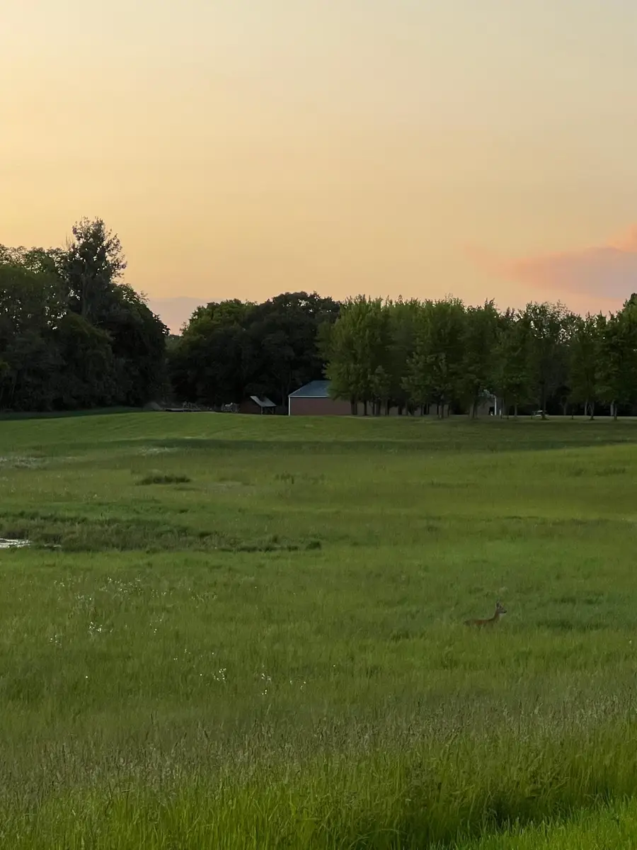 XXXX 280th Street E, Webster, MN 55088 - Image #3