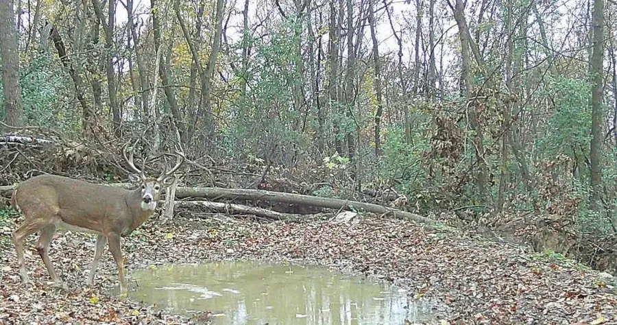 TBD East Burns Valley Road, Wilson, MN 55987 - Image #2