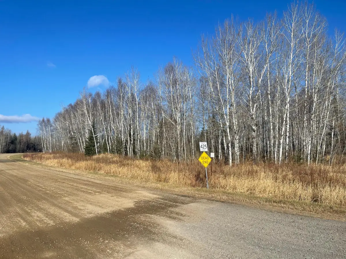13994 County Road 425, Wawina, MN 55736 - Image #1