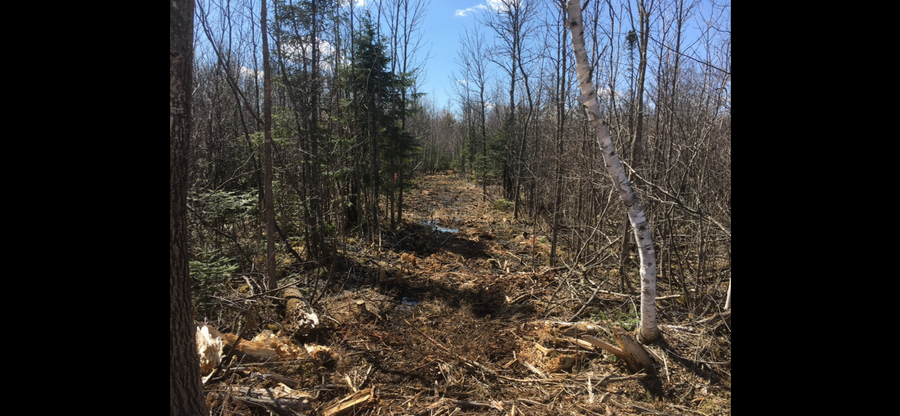 25 Itasca County 25, Wawina, MN 55736 - Image #3