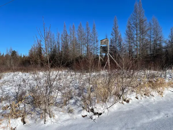 508 Cedar Valley Rd, Cedar Valley Twp, MN 55736