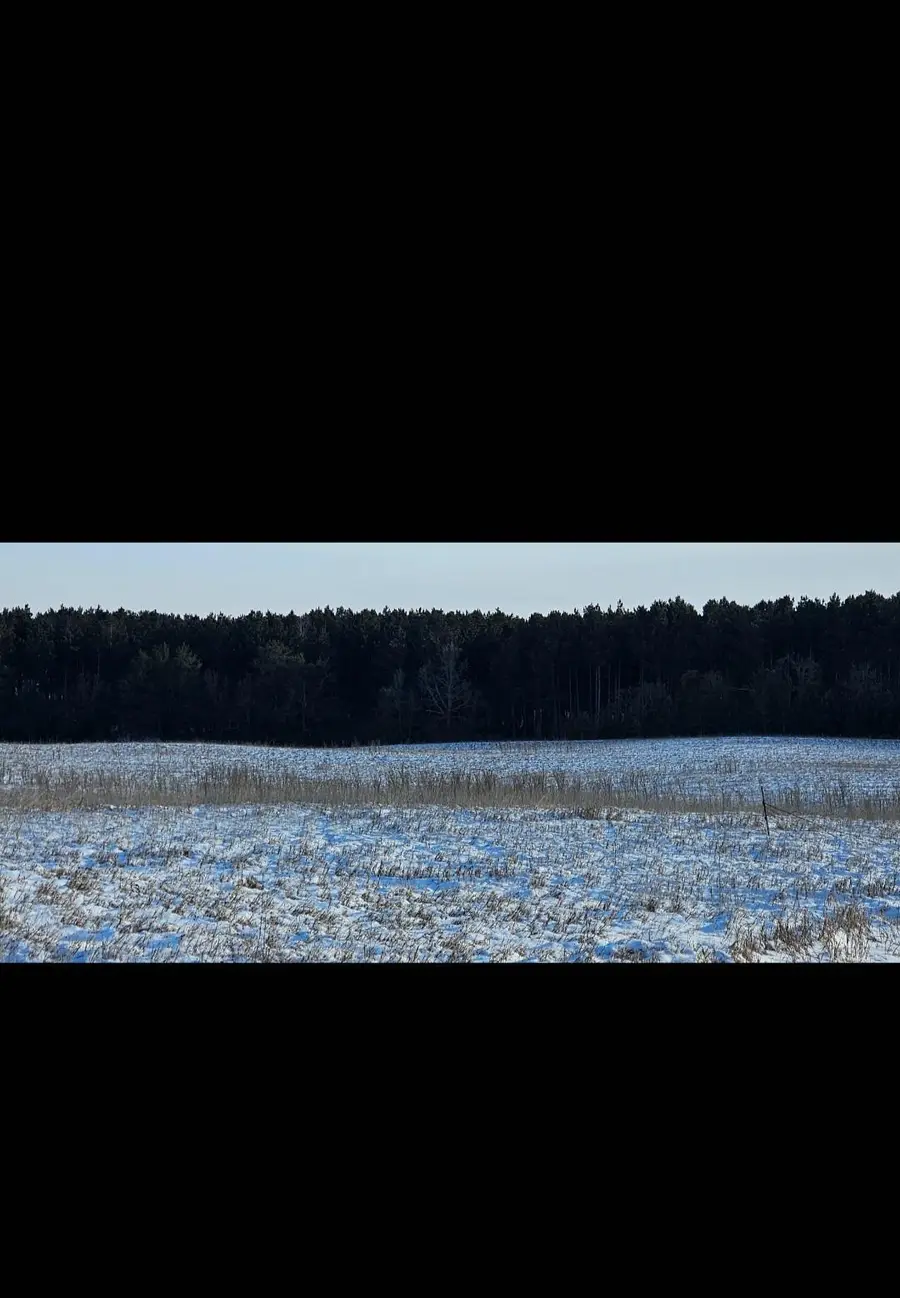 TBD 219th, Nevis, MN 56467 - Image #3